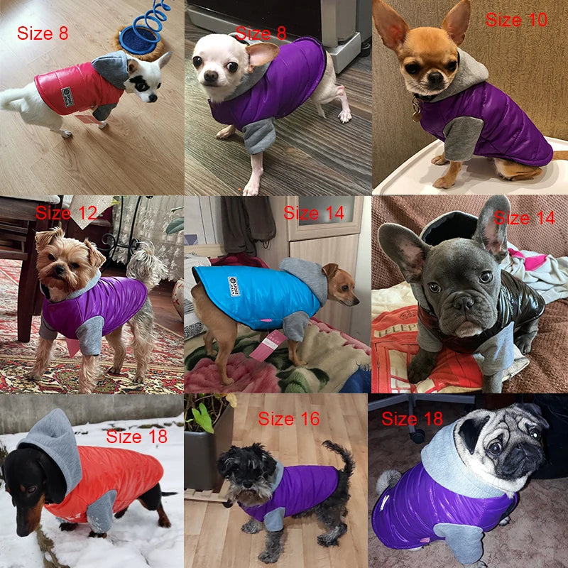 Hooded Dog Jacket - Warm Windproof Puppy Coat for Small and Medium Dogs - photo 5