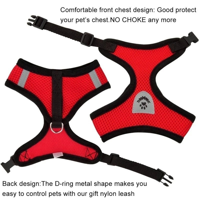 Adjustable Mesh Harness and Leash for Small Dogs and Cats, Reflective