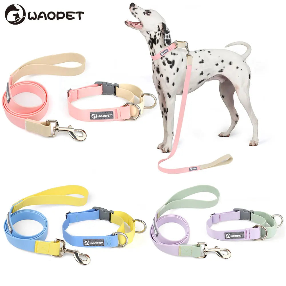 Adjustable Dog Collar & Leash Set - Coated Training Lead, M/L