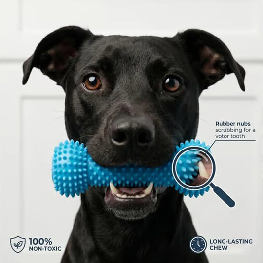 Double-Action Rubber Dog Chew - Teeth Cleaning Toy