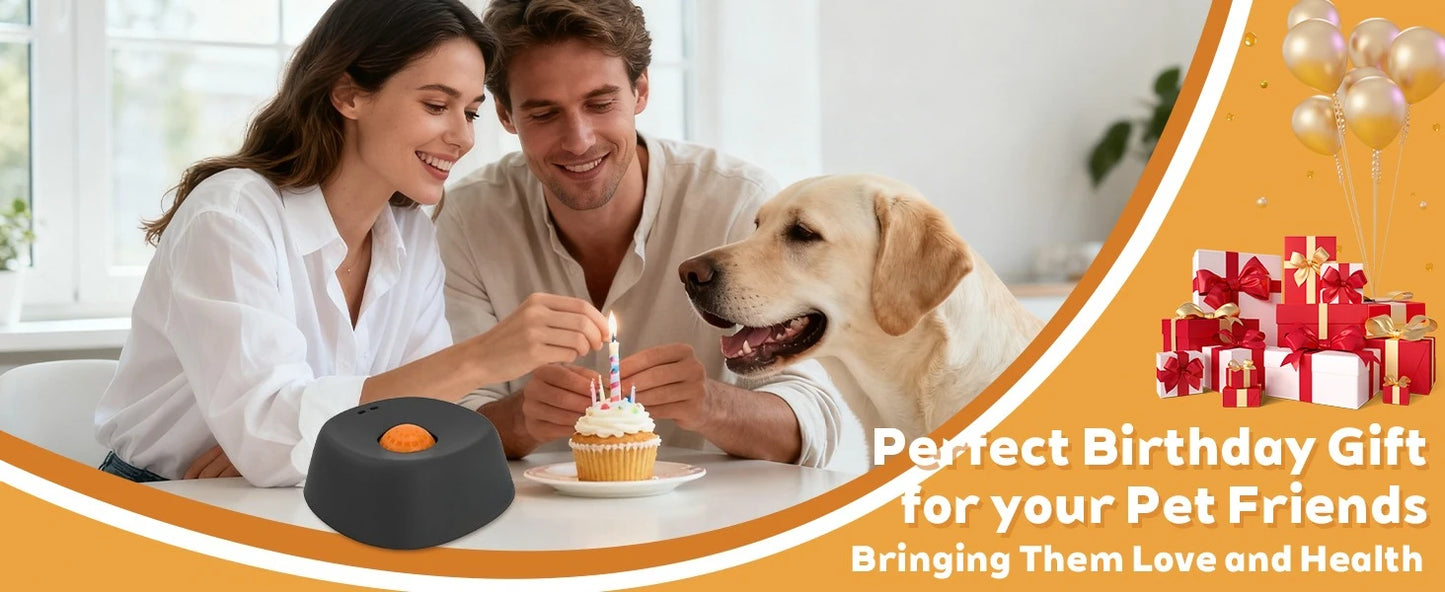 Anti-Choking Slow Feeder Dog Bowl Non-Slip 3/4 Cup - Lick Toy for Liquid Treats Bone Broth Yogurt