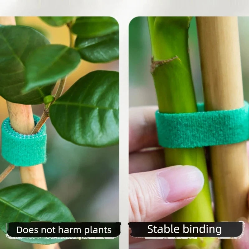 Reusable Garden Plant Ties — Adjustable Hook & Loop Plant Tape