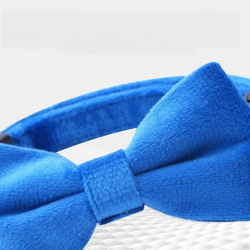 New Bowknot Pet Collar, Cat Collar, Safety Buckle, Cat Bell, Anti-suffocation Collar, Puppy Collar