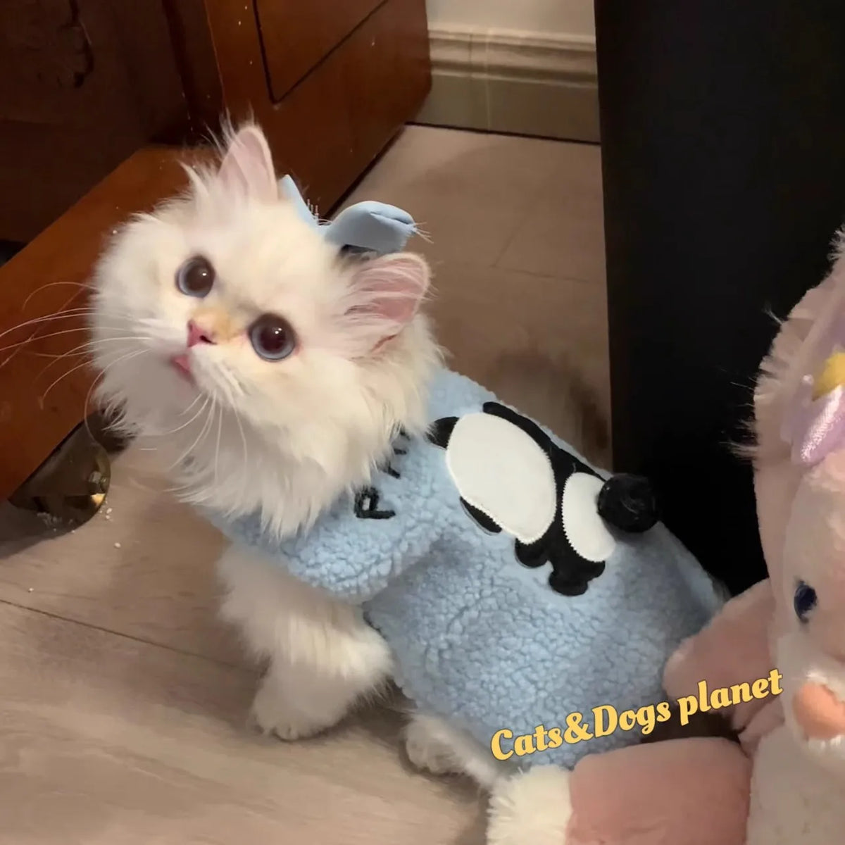 Soft Cozy Cat Sweater - Warm Winter Pullover for Cats and Sphynx - photo 4