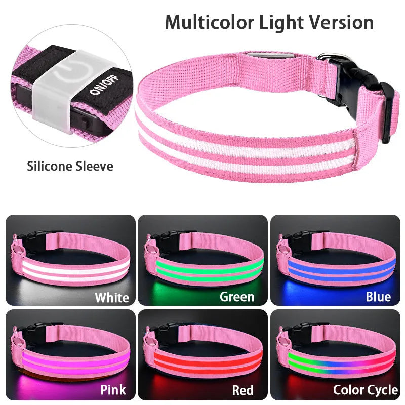 LED Light Up Dog Collar – Rechargeable Glowing Safety Collar for Night Walks | Color LED Pet Necklace with Harness & Leash Ring