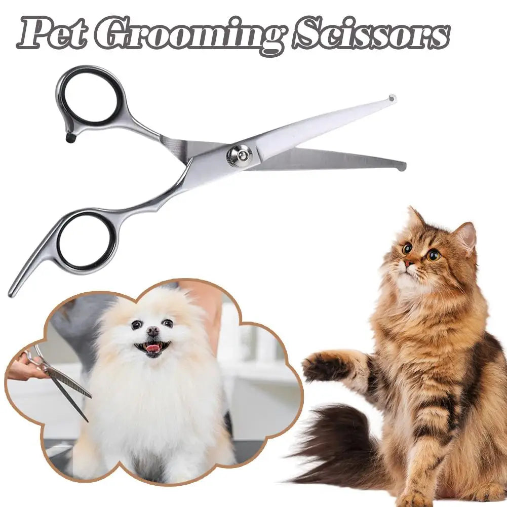 Stainless Steel Pet Grooming Scissors - Feet, Ear & Eye Trim – photo 6