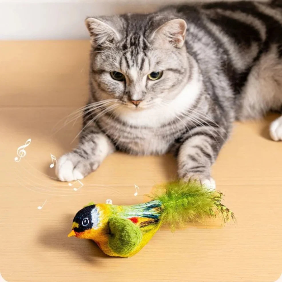 Birds Cat Toys Indoor Interactive Cat Toy for Cats Chasing Teasing Toy Sounding Catnip Cat Teaser Toy Self-hilarity Wall Hanging
