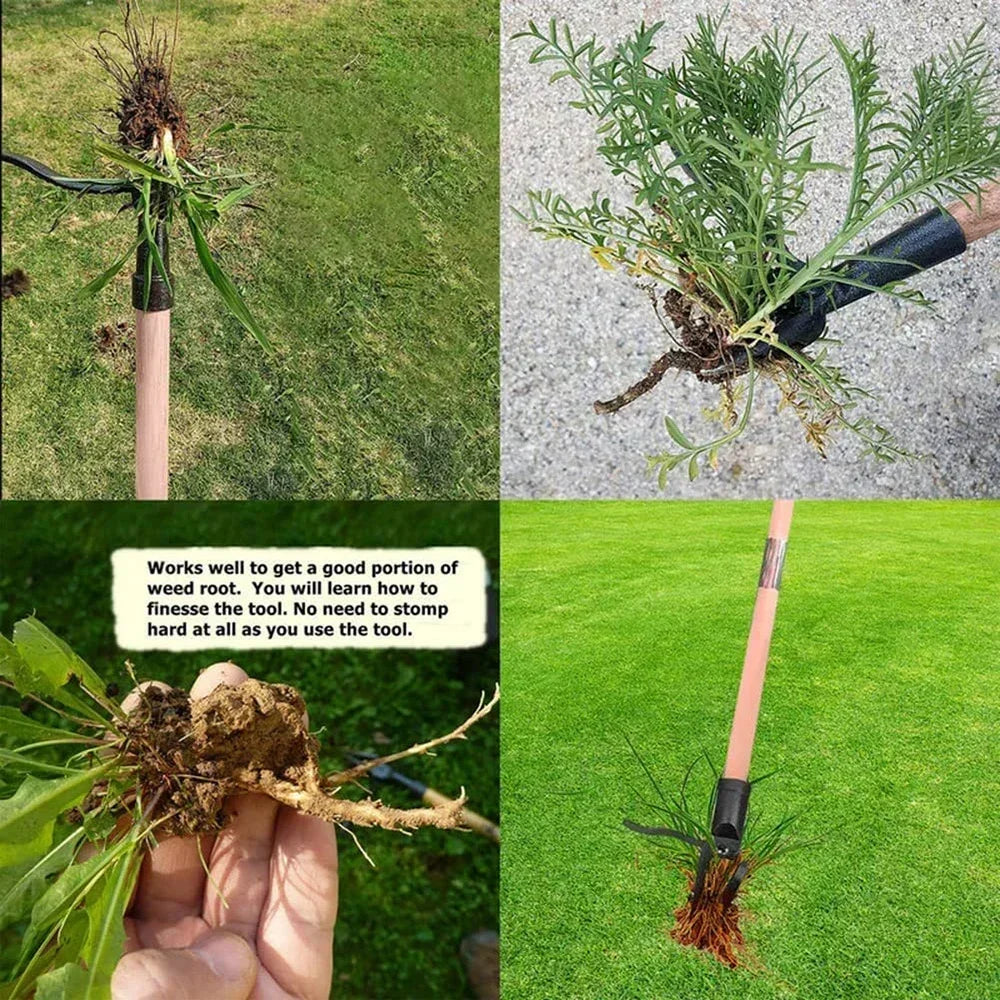 Stand Up Weed Puller Tool, 4 Claw Steel Head Weeding Head, Easily Remove Weeds Without Bending, Root Remover Tool for Lawn Yard