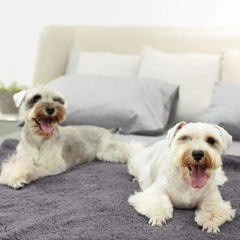 Velvet Pet Blanket - Soft Warm Mat for Dogs and Cats - photo 4