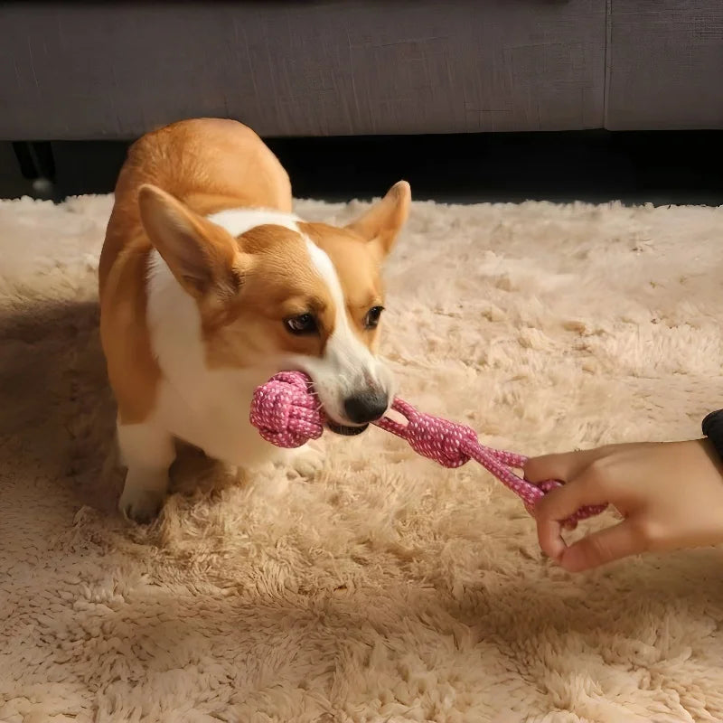 Cotton Rope Ball Dog Toy - Mini Chew Toy for Small & Large Dogs - photo 2