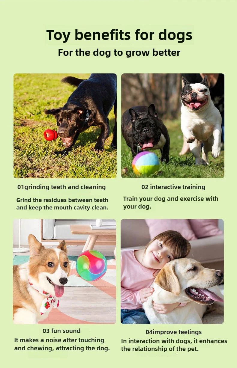 Glowing Bouncy Ball with Whistle Sound Elastic Chew Toy for Dogs Teeth Cleaning Massage Ball Safe Pet Toys Stress Relief Gift‌