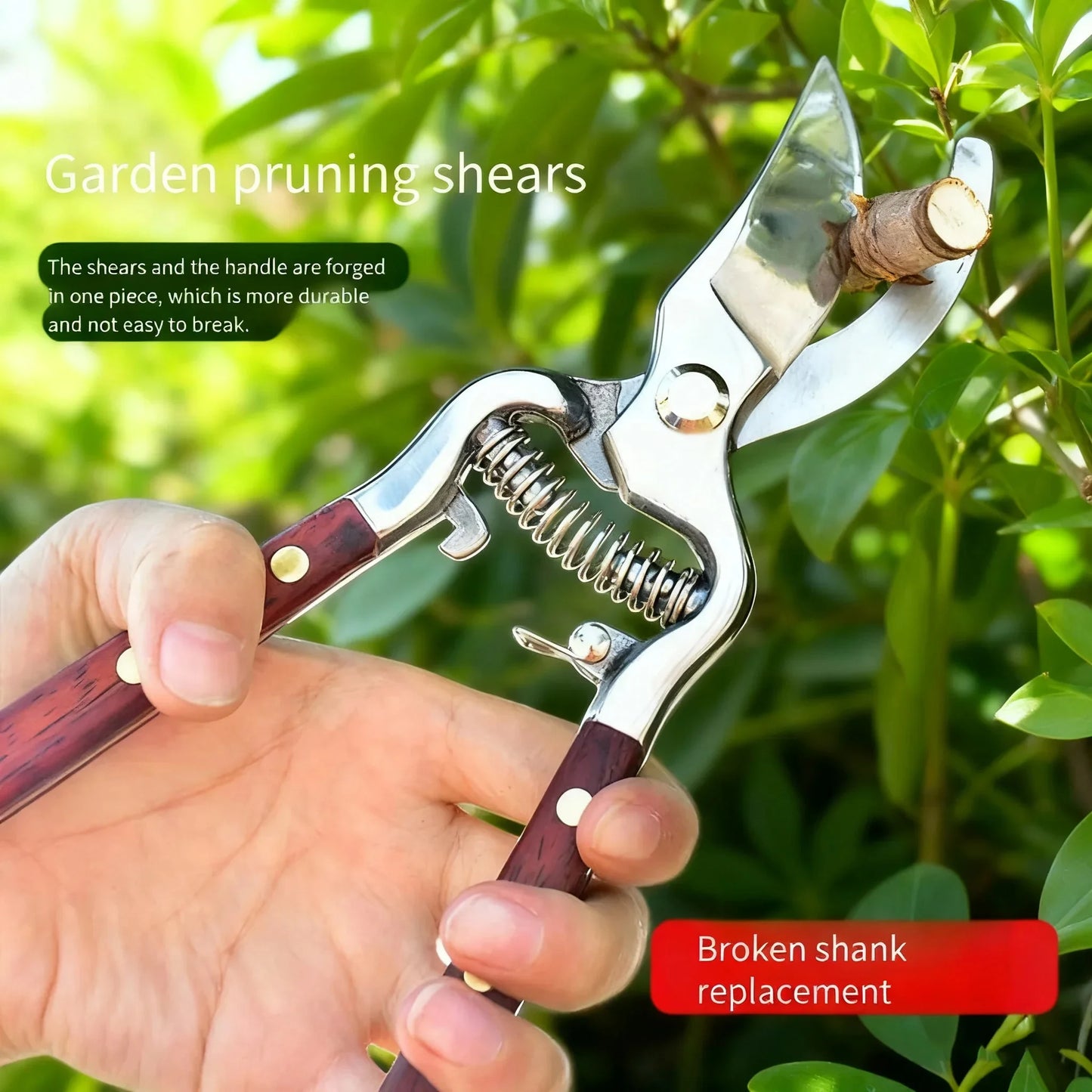 Professional Pruning Shears - All-Purpose Garden Scissors for Thick Branches, Fruit Trees & Floral Trimming
