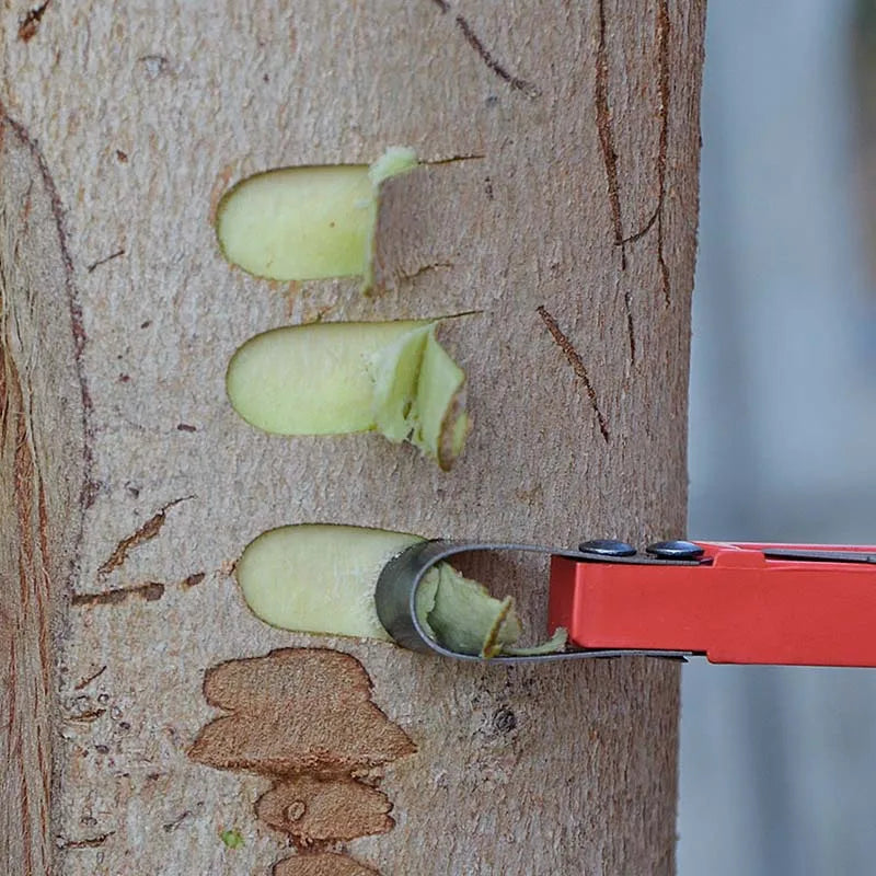 Fruit Tree Rot Scraping Bark Knife Multifunctional Peel Knife Ring Cutting U-shaped Grafting Blade Garden Woodworking Tools