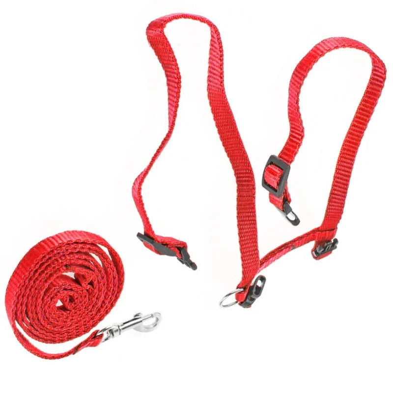 Cat Harness and Leash Adjustable Halter Harness with Nylon Strap, Safety Rope Leads for Kittens Comfortable Escape-Proof Design