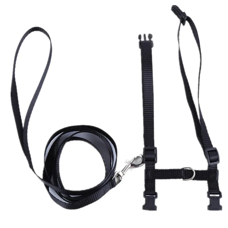 Cat Harness and Leash Adjustable Halter Harness with Nylon Strap, Safety Rope Leads for Kittens Comfortable Escape-Proof Design