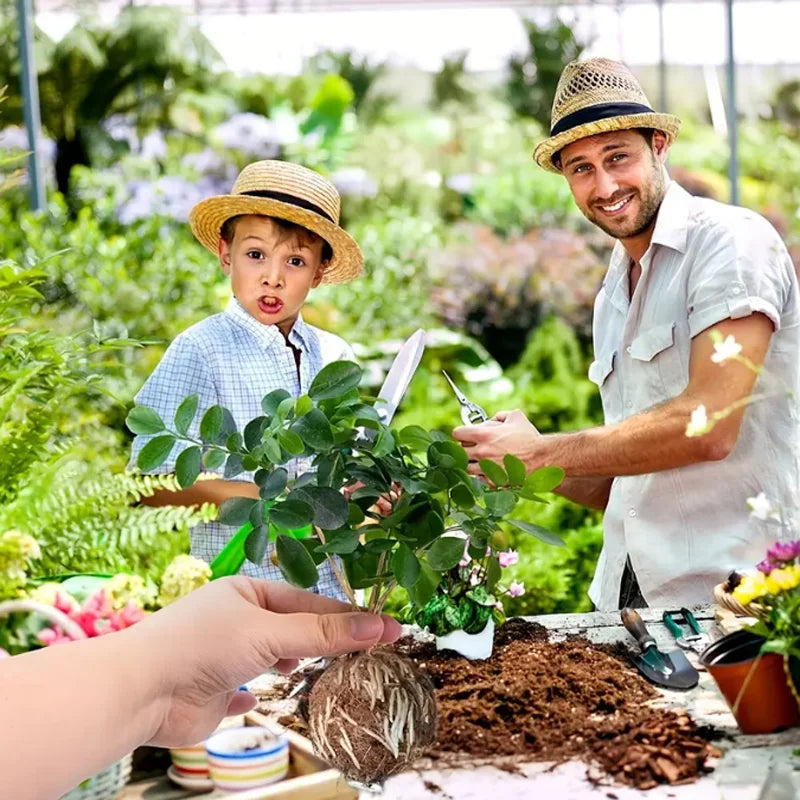 Garden Orchard Plants Grafting Rooting Box Reusable Cutting Garden Rooting Clone Propagation Ball Breeding Equipment for Sapling