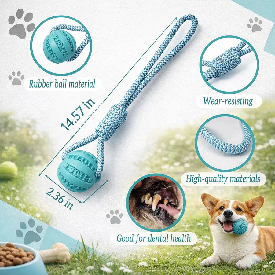 Interactive Dog Toy for Small & Medium Dogs Durable Tug of War Rope with Rubber Ball for Training & Outdoor Play (Blue)