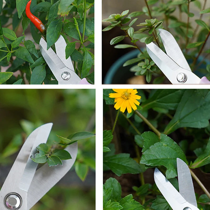 Professional Bonsai & Garden Scissors – PTFE Bypass Pruning Shears with Ergonomic Grip | Floral & Plant Pruner