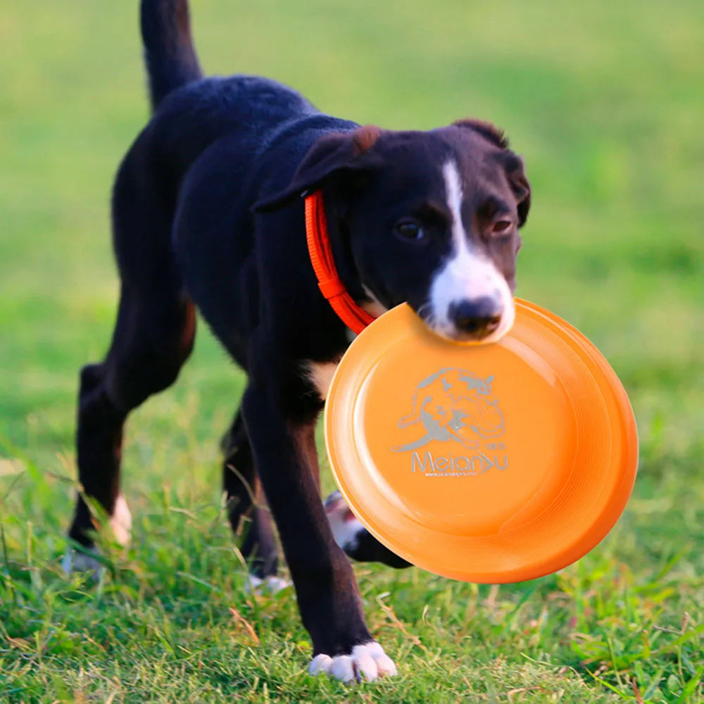 Dog Training Disc - Lightweight Easy-Catch Frisbee – photo 4