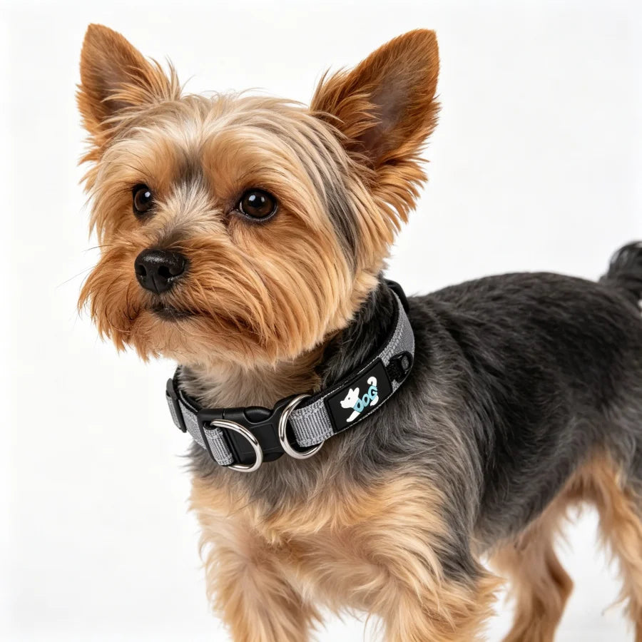 Reflective Harness-Style Collar - Double D-Ring, Lined – photo 2