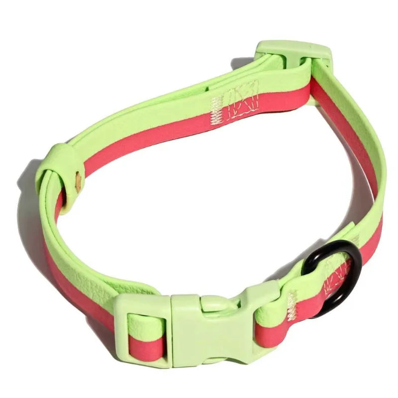 Hands-Free Dog Leash & Collar Set - Reflective Lead for Small Dogs - photo 15