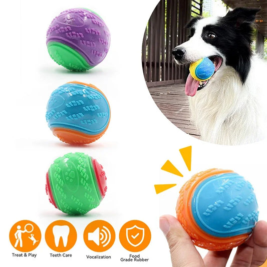 TPR Squeaky Dog Ball - Soft Bite-Resistant Fetch Toy