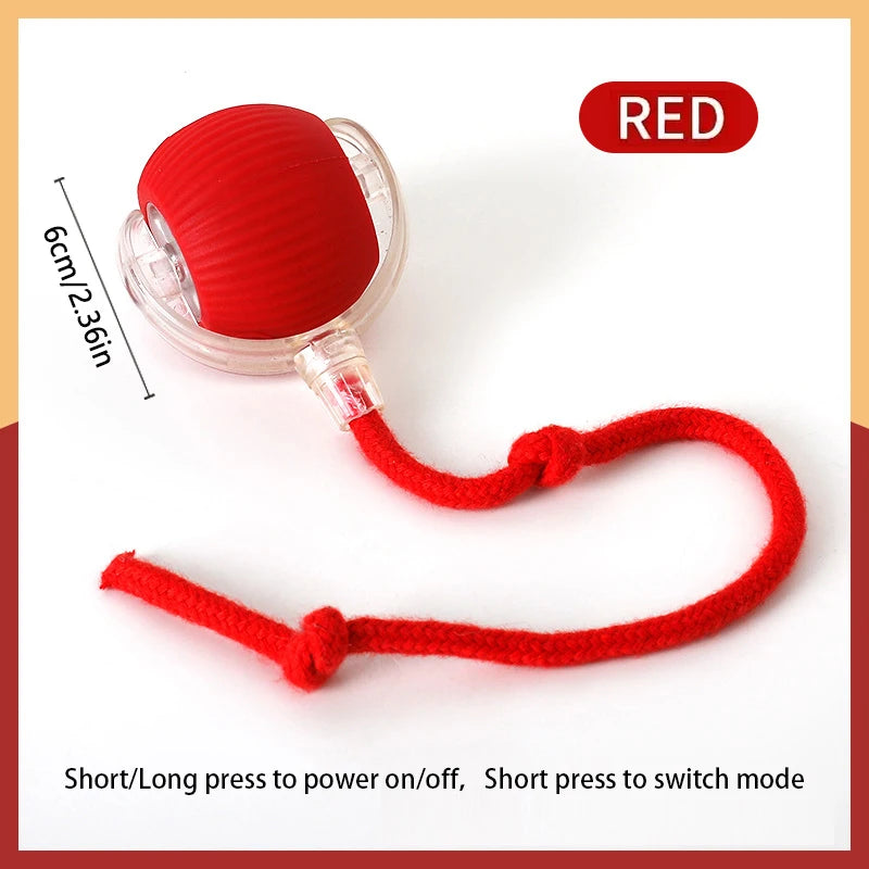 Smart Electric Rolling Cat Toy Ball – USB Rechargeable Automatic Interactive Teaser | Moving Bouncing Ball for Cats