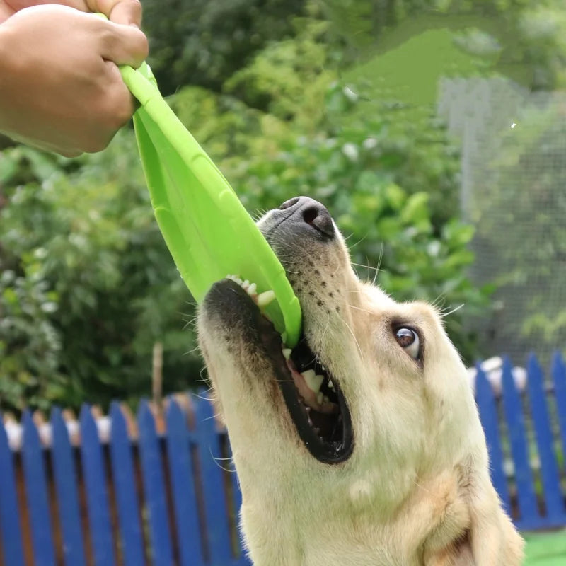 Soft Silicone Flying Disc Dog Toy for Fetch and Training