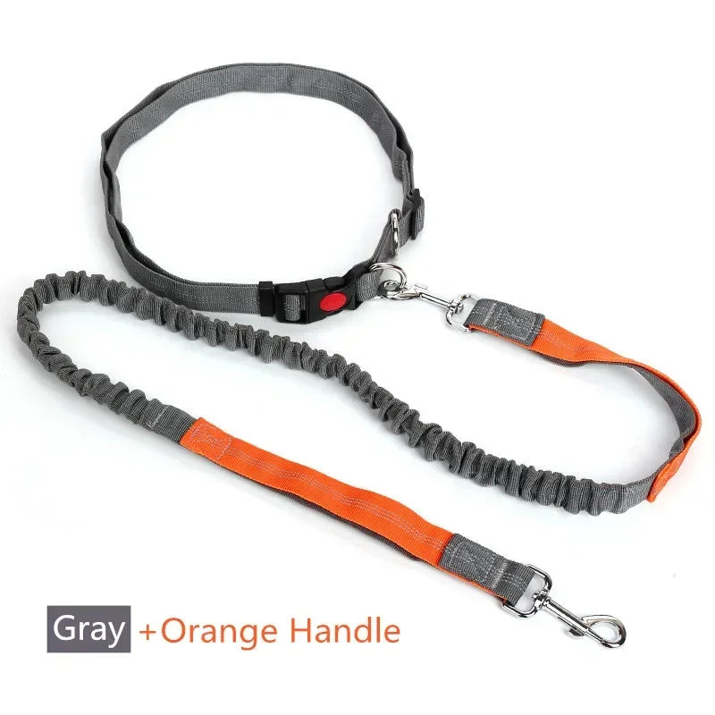 Hands-Free Retractable Dog Leash with Waist Belt – photo 7