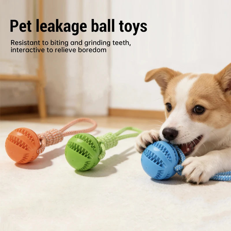 Cotton Rope & Rubber Treat Ball - Puppy Teething Toy – photo 2