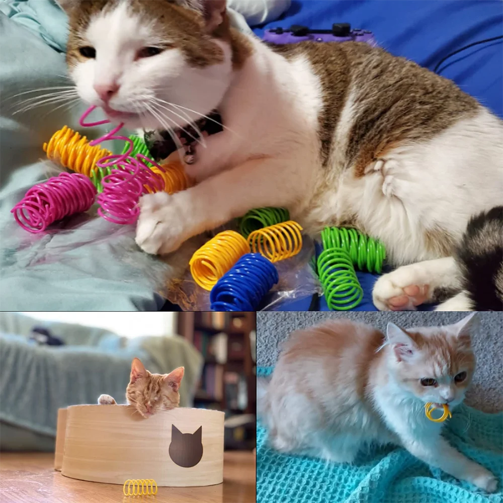 Cat Spiral Spring Toys - 4 to 100 Pack Kitten Coils – photo 6