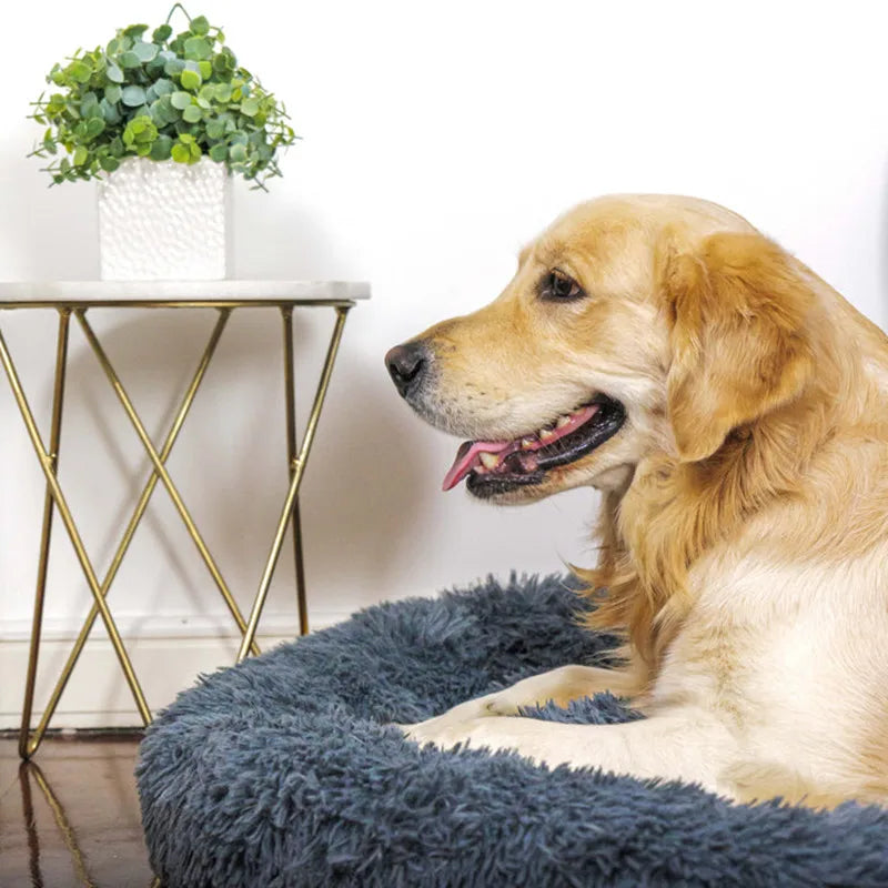 Plush Donut Dog Bed - Soft Round Washable Bed, 40-70cm - photo 5