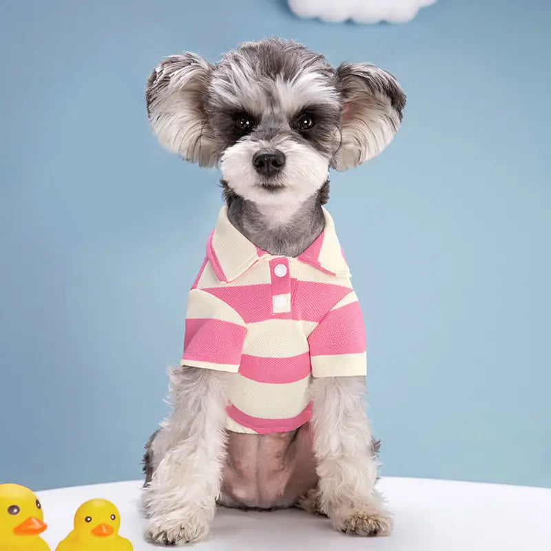 Pet Dog Polo Shirt – Summer Casual T-Shirt for Small & Large Dogs & Cats | XS–4XL (5 Colors)