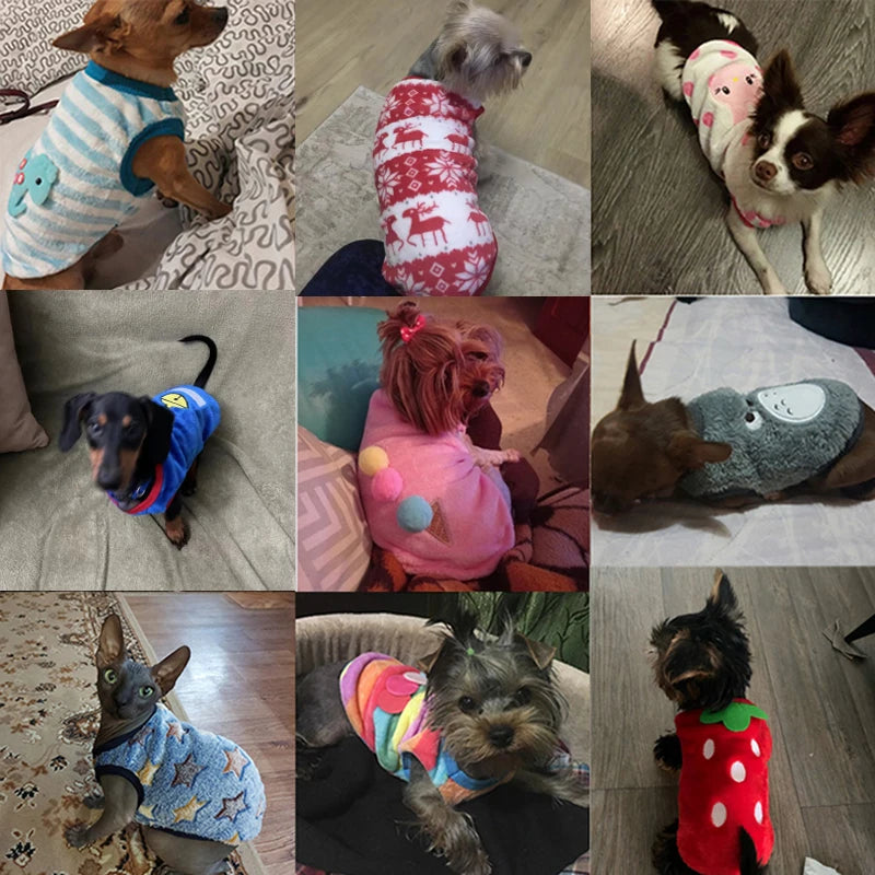 Cute Dog Winter Vest — Soft Flannel Puffer Jacket for Small Cats & Dogs