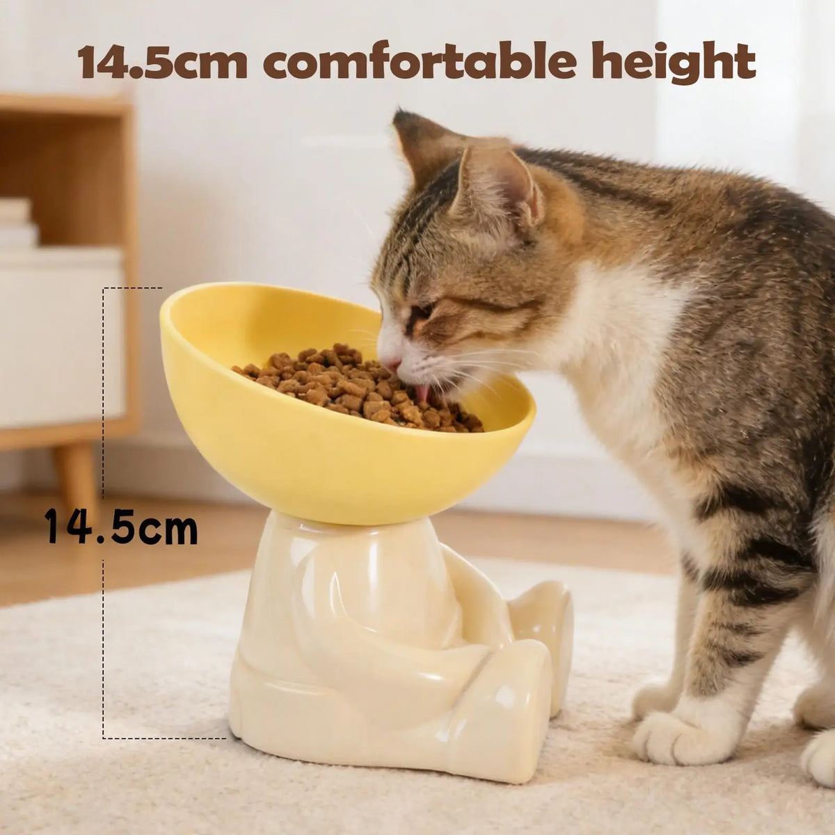 Raised Cat Feeding Bowl - Non-Slip Elevated Food Dish – photo 5