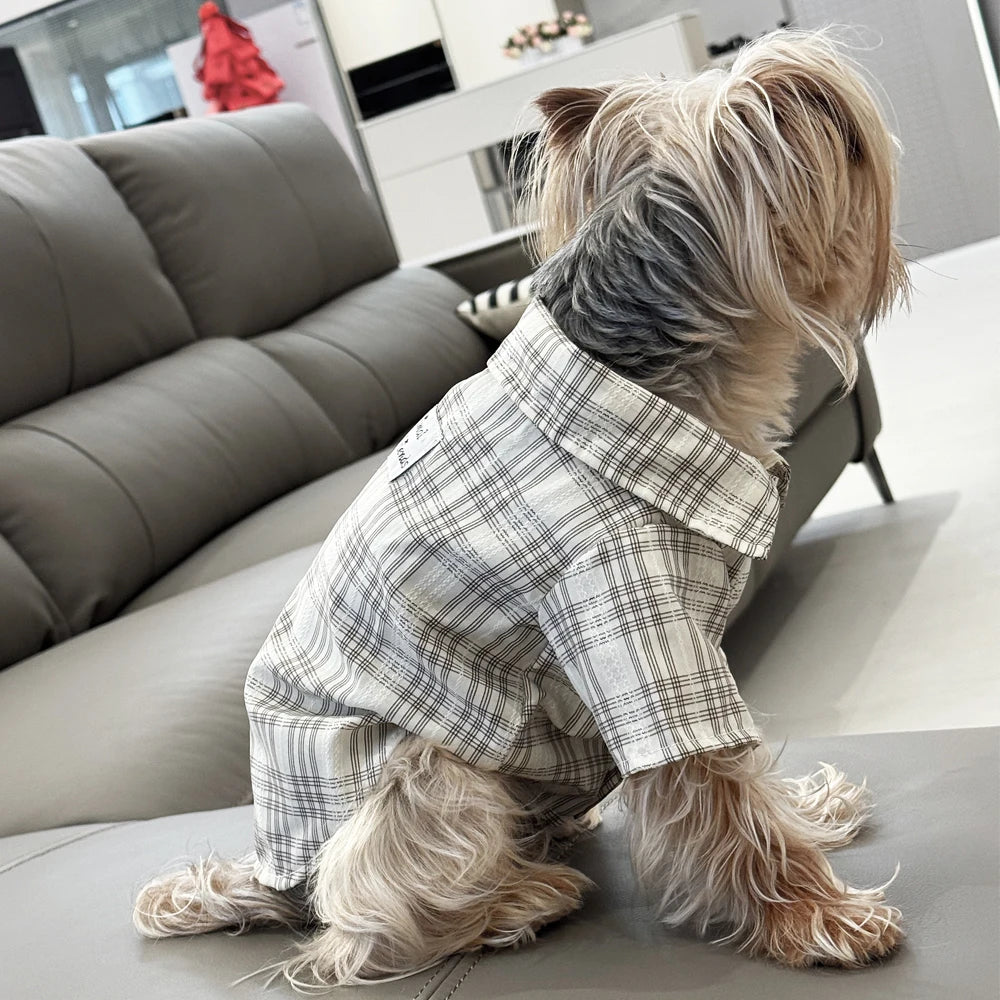 Plaid Dog Shirt - Spring Summer Button Shirt for Small Dogs & Cats - photo 3