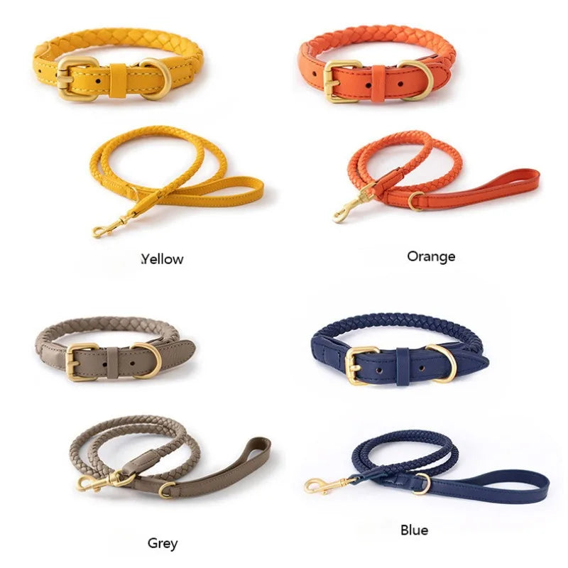 Braided Dog Leash & Collar - Adjustable Walking Rope for Small Dogs - photo 4