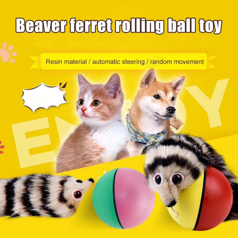 Electric Rolling Beaver Ball - Jumping Cat Toy