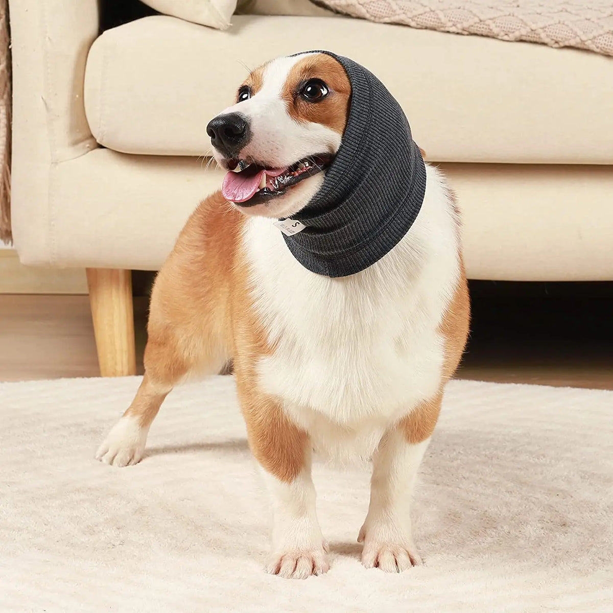 Pet Ear Muffs Snood - Stretchy Knit Head Wrap for Cats and Dogs - photo 5