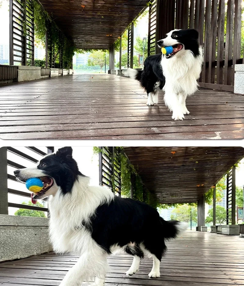 Dogs Chew Ball Interactive Toys Soft TPR Toys for Dog Pet Teeth Cleaning Bite Resistance Squeaky Dog Ball Toy Pet Products