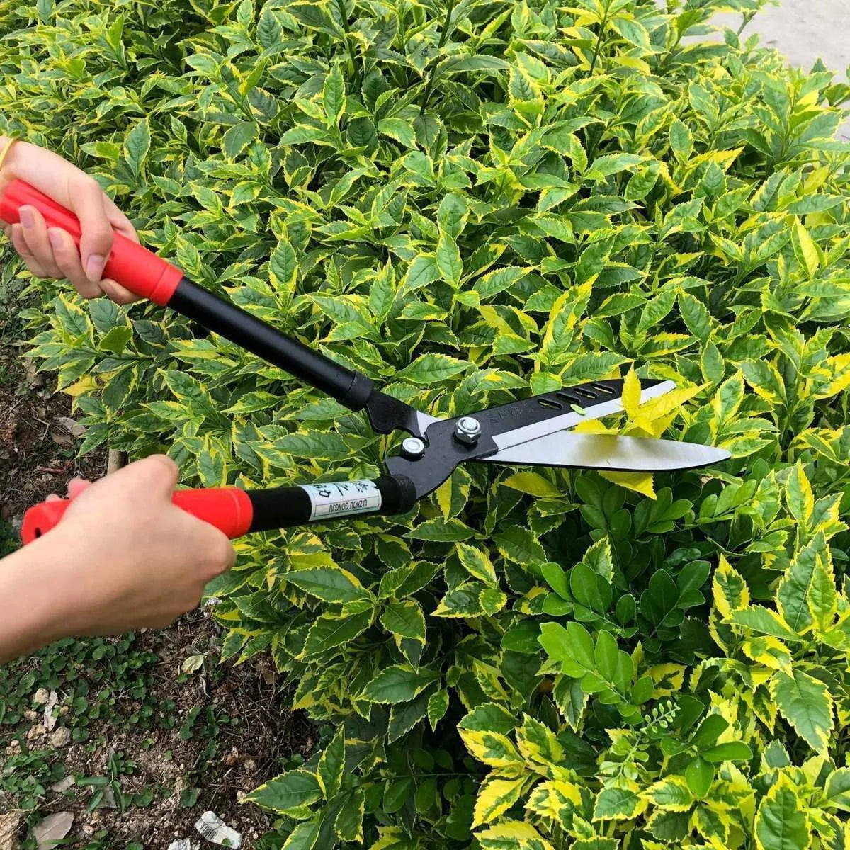 Professional Garden Hedge Lopper — Long-Reach Bypass Pruner