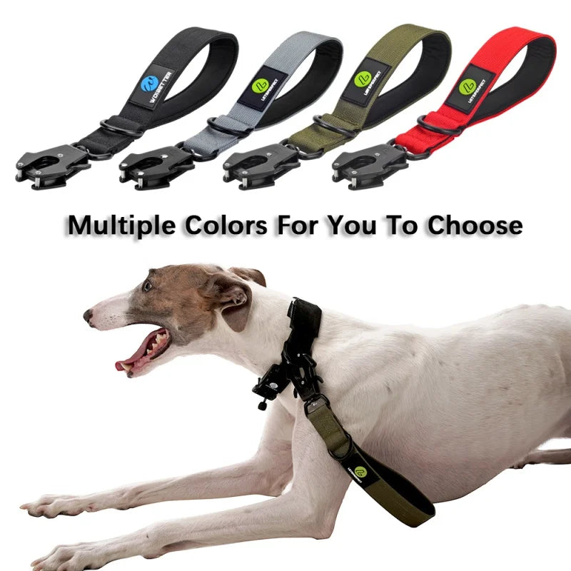 Short Nylon Dog Traffic Lead - Metal Buckle Leash for Large Dogs - photo 3