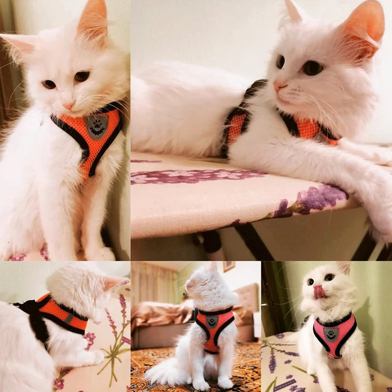 Adjustable Mesh Harness and Leash for Small Dogs and Cats, Reflective