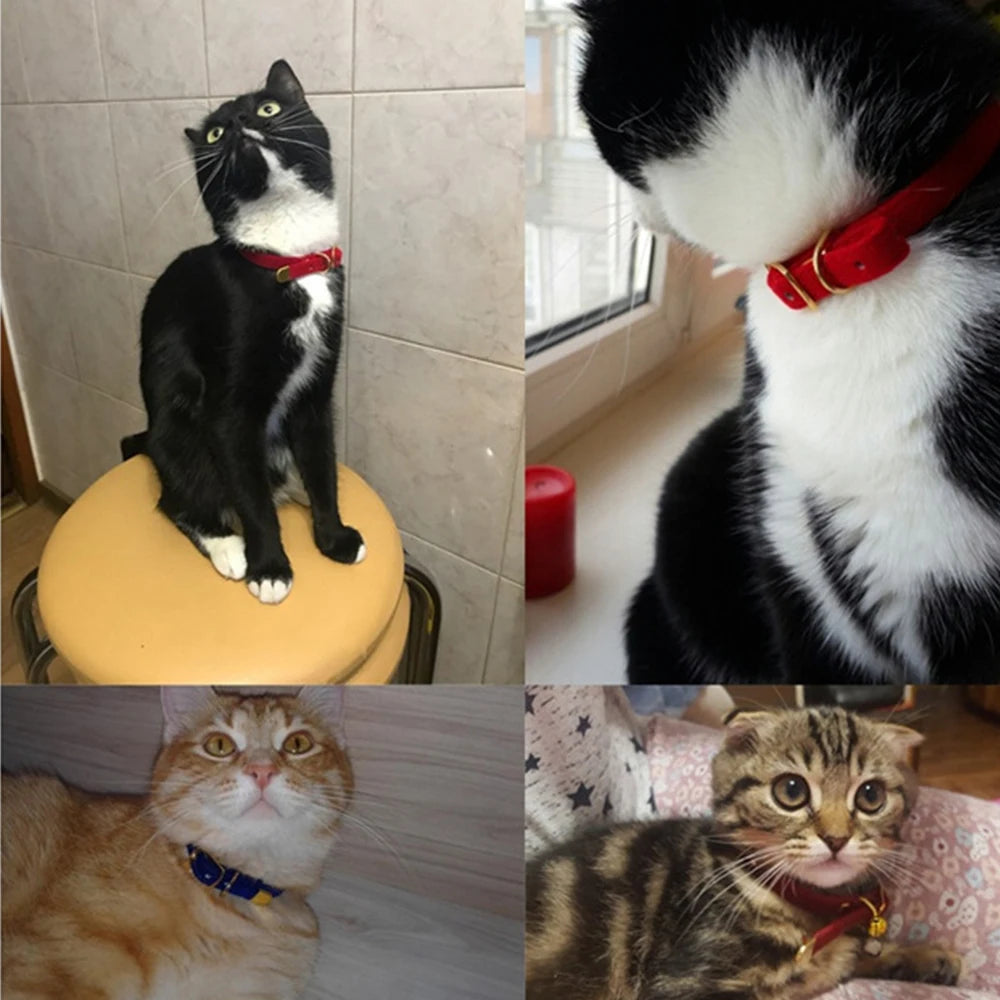 Cat Collar With Safety Cat Collars Adjustable Puppy Dog Collar For Small Dogs Kittens Solid Pet Collarhu Products Cat Necklace