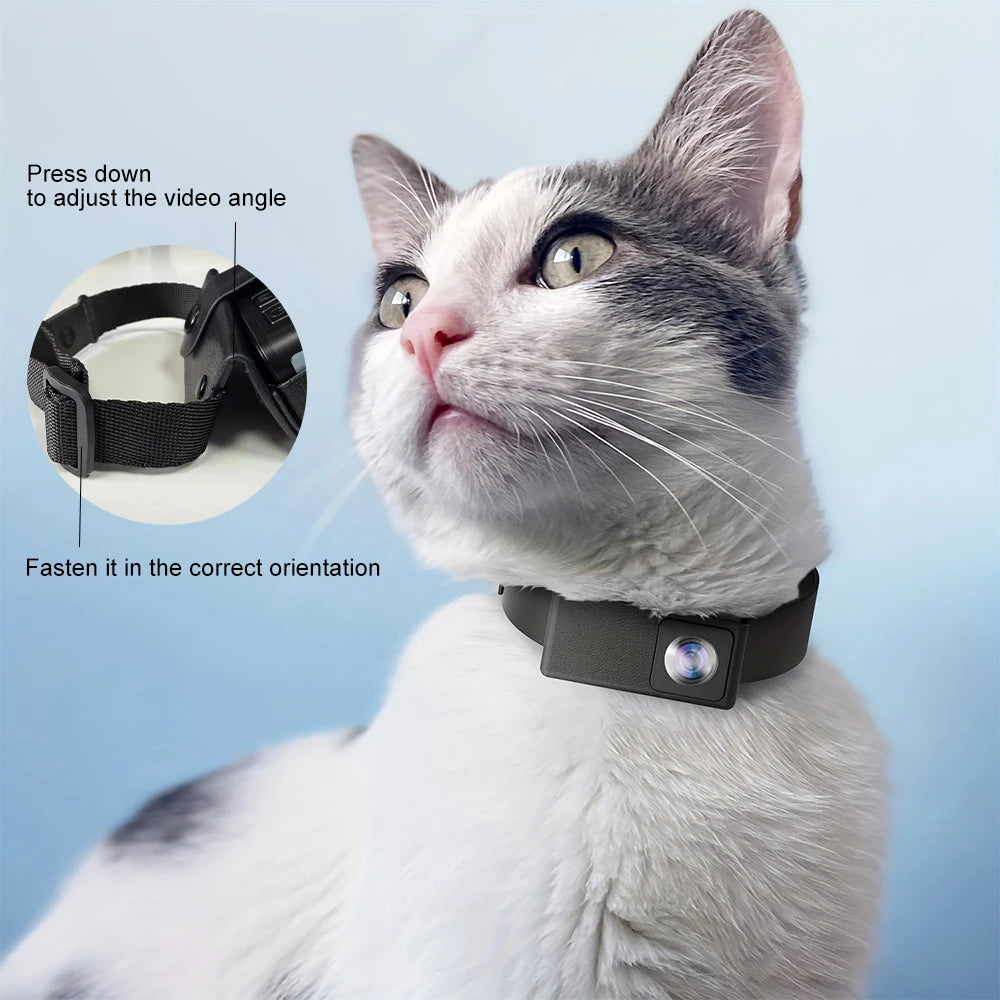 BORME 1080P Pet Collar Camera — No WiFi Needed, for Dogs & Cats