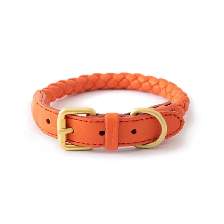 Braided Dog Leash & Collar - Adjustable Walking Rope for Small Dogs - photo 10
