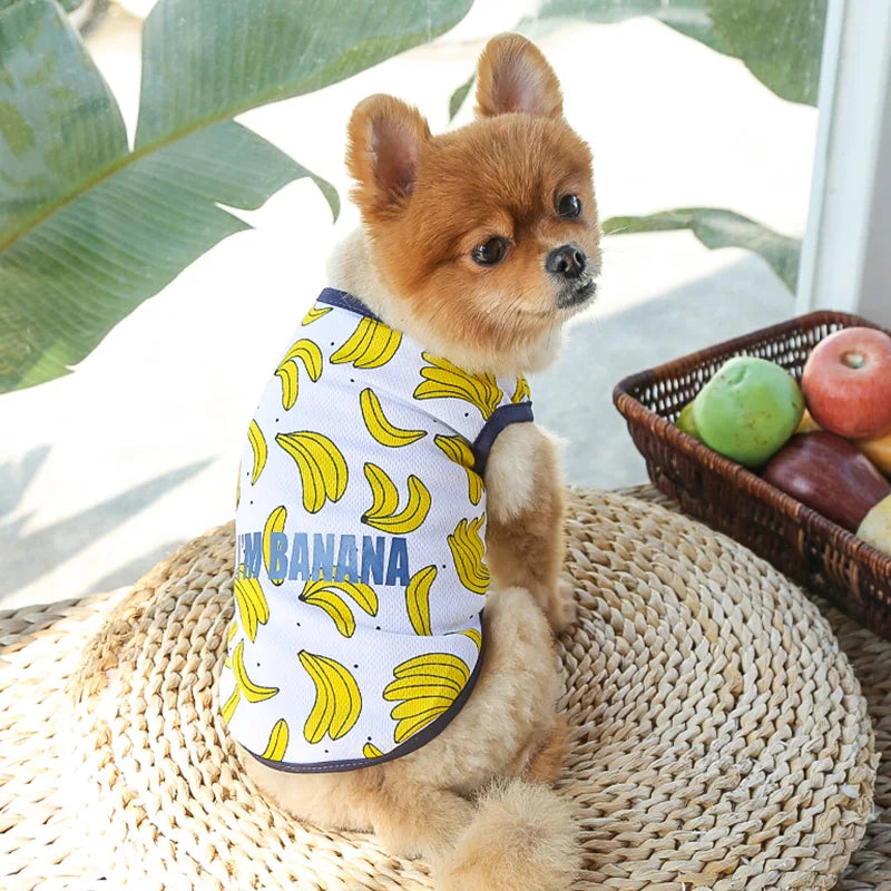 Dog & Cat Cotton Clothes — Cartoon Print Vest for Puppies & Kittens