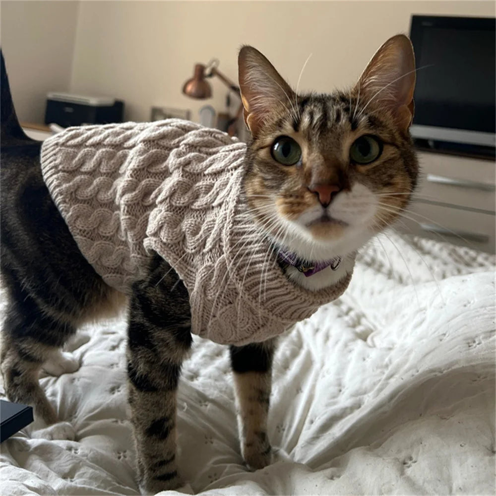 Knitted Pet Jumper - Autumn Winter Sweater for Small Dogs and Cats - photo 4