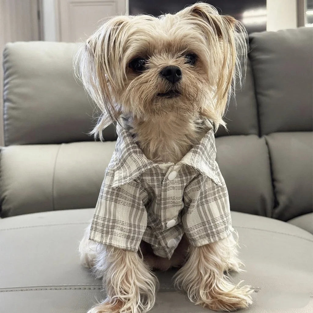 Plaid Dog Shirt - Spring Summer Button Shirt for Small Dogs & Cats - photo 5