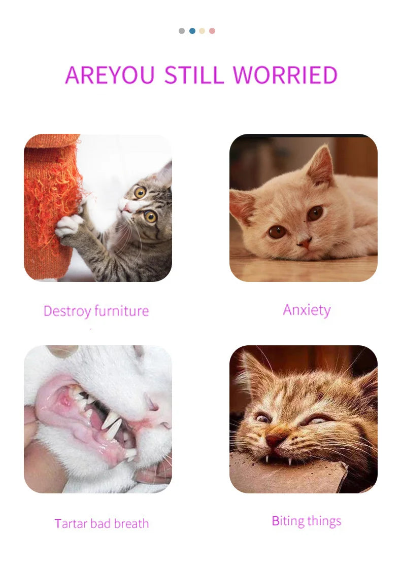 New Pet Cat Corner Scrubber Massager Cat Scratching Scratcher Cat Brush Comb Massage Corner Brush Pet Supplies